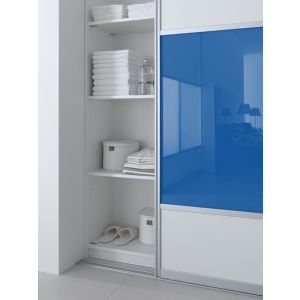 velux ggl 4 glas vervangen
